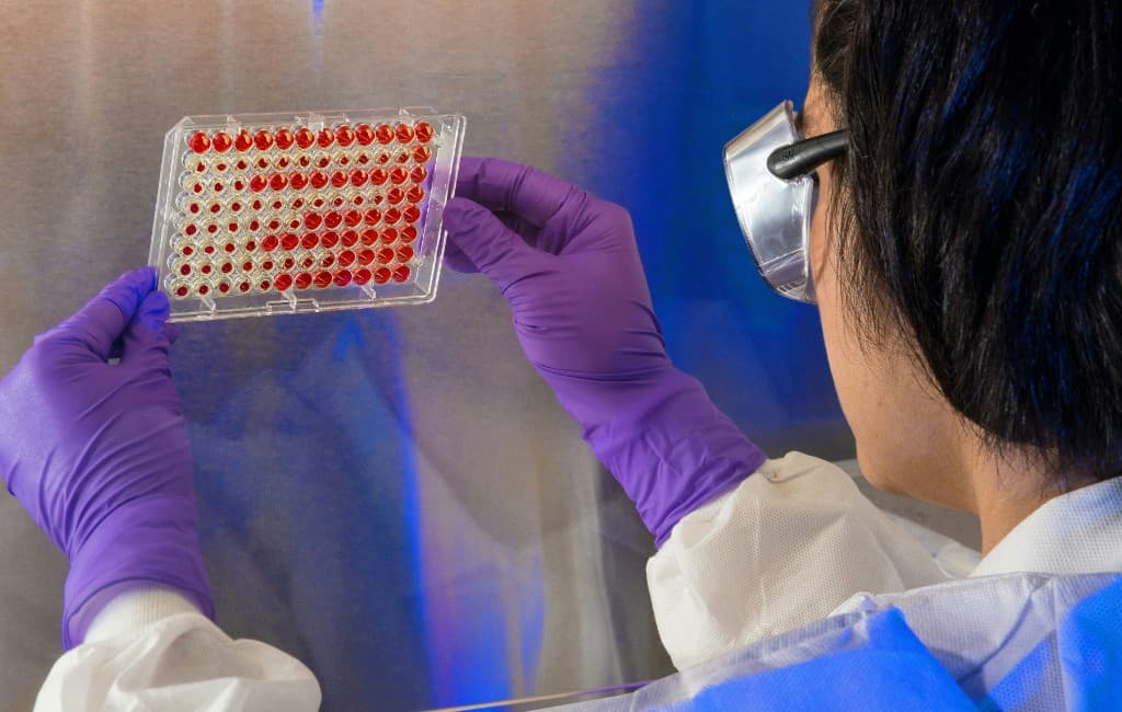 High-throughput screening well plate used in experimental drug evaluation