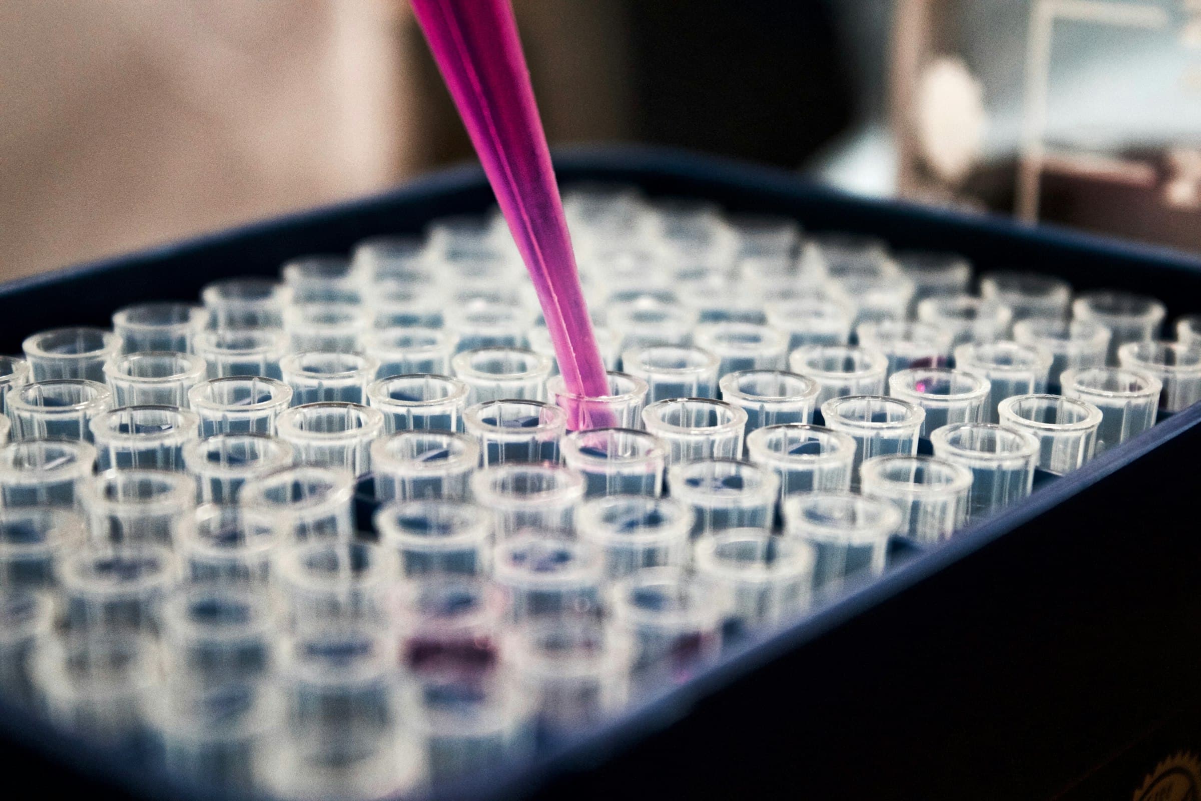 Drug discovery workspace supporting computational and experimental research